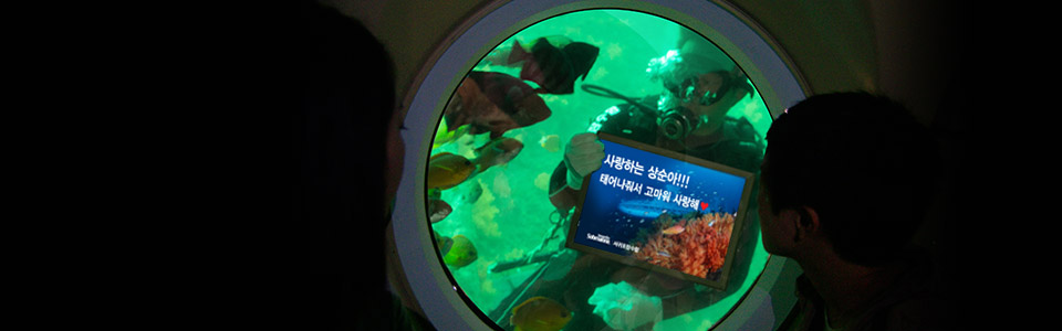 깜짝 이벤트 모습
